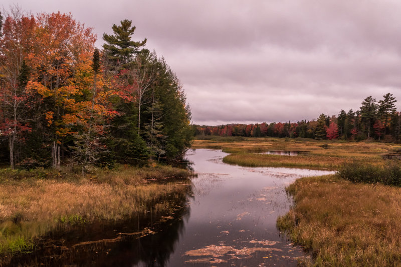 OLD_FORGE1130275.JPG