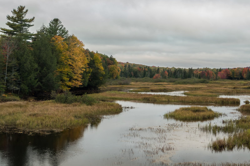 OLD_FORGE1130306.JPG