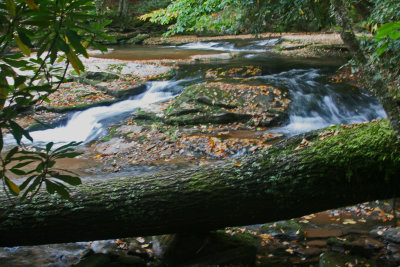 Lower Day Run Water Falls with Log tb100918.jpg