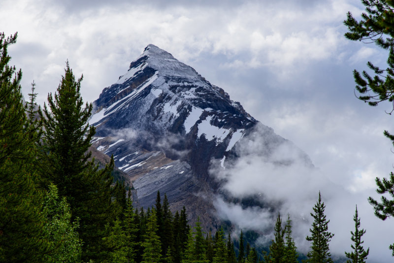 DSC_8489.JPG