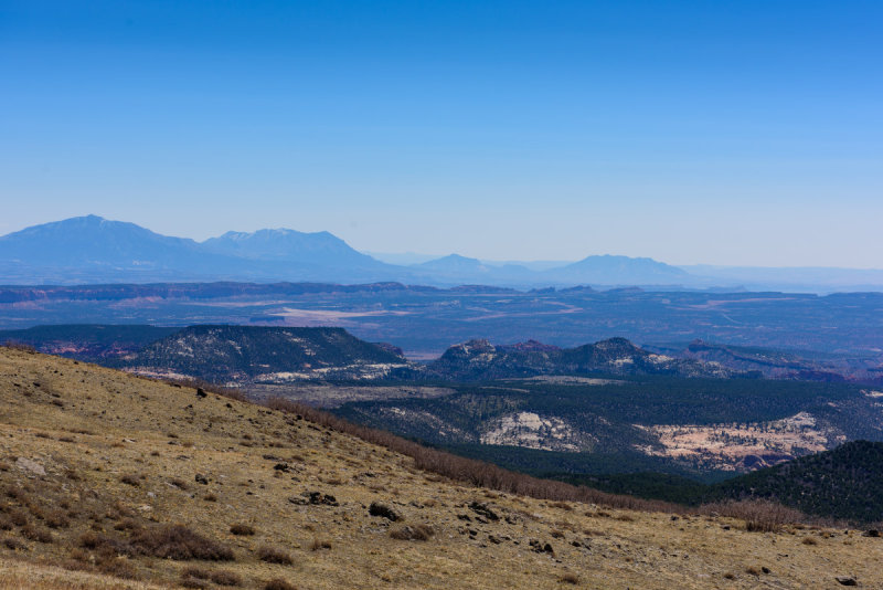 Homestead Overlook