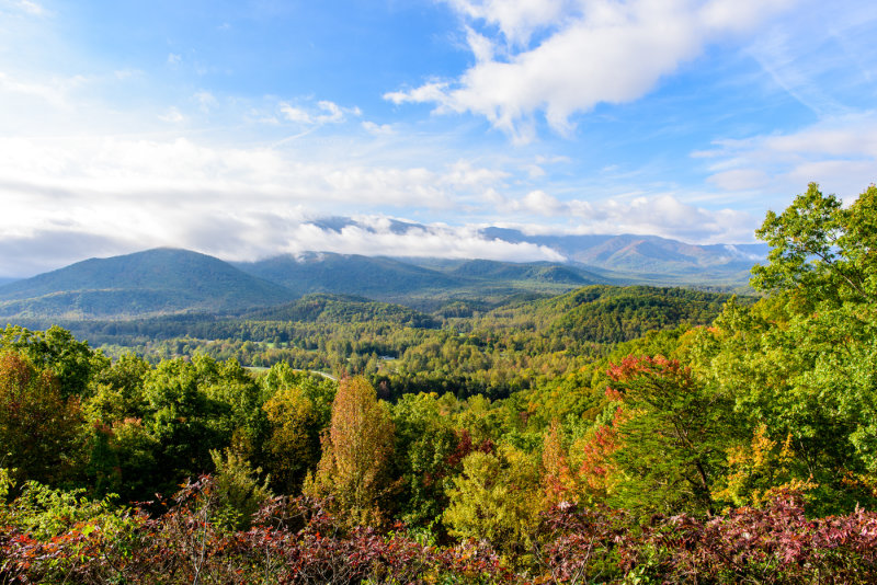 Foothills Parkway East Overlook #1