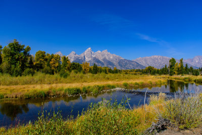 Schwabacher Landing