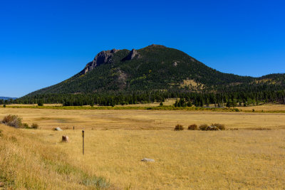 g12/73/661373/3/169650209.NzDhIr9F.jpg