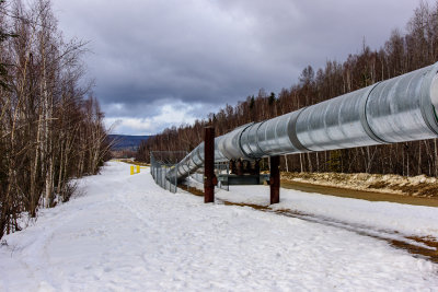 Alaska Pipeline Viewing Point