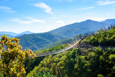 Gatlinburg SkyBridge