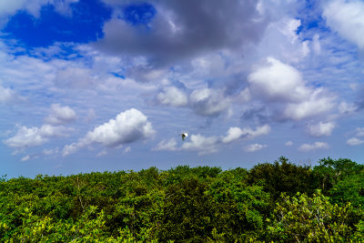 Everglades National Park