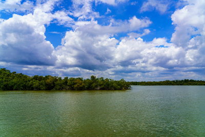 Gulf Coast