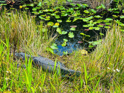 Everglades National Park