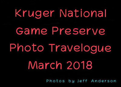 Kruger National Game Preserve cover page.