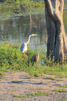 IMG_0506_copy.jpg