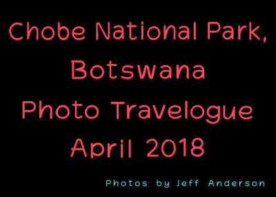 Chobe National Park Botswana cover page.