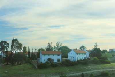 IMG_5387.jpg