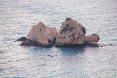 IMG_5390.jpg