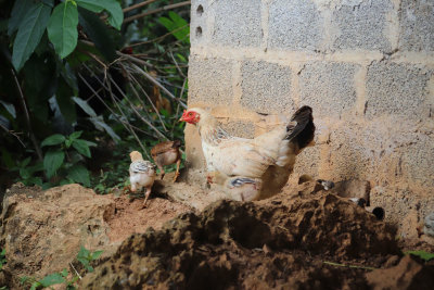 Mai Chau, Vietnam (October 2019)