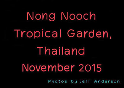Nong Nooch Tropical Garden, Thailand cover page.