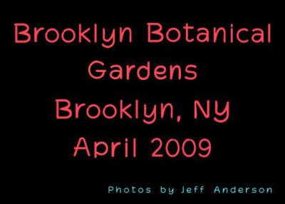 Brooklyn Botanical Gardens - Brooklyn, NY (April 2009)