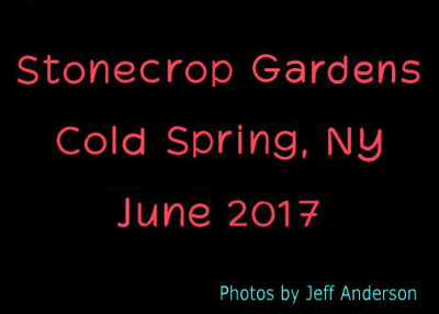 Stonecrop Gardens, Cold Spring, NY cover page.