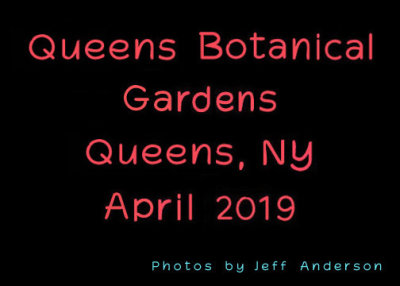 Queens Botanical Gardens (April 2019)