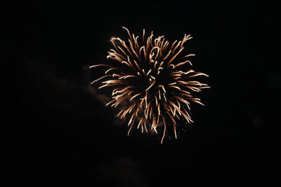 IMG_3236.jpg