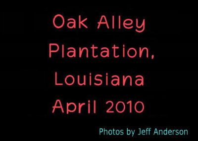 Oak Alley Plantation cover page.