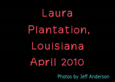 Laura Plantation cover page.
