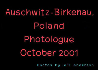  Auschwitz-Birkenau, Poland cover page.