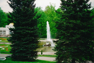 Peterhof Palace 50
