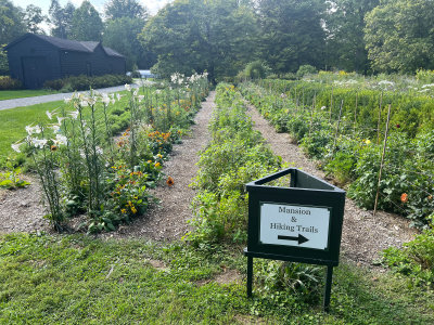 Garden at the Locust Grove Estate. It was past peak because summer was over.