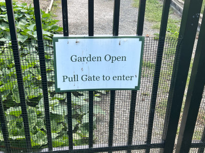 Fortunately, the garden was open to visiters.