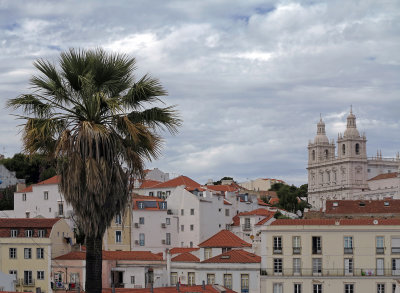 ALFAMA_06.JPG