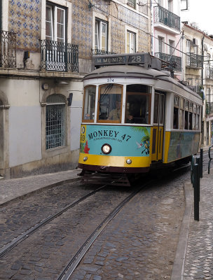 ALFAMA_15.JPG