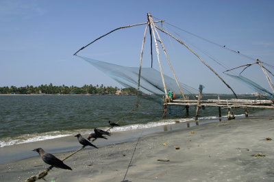 Cochin IMG_7509.jpg