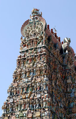Temple de Mnksh  Madurai IMG_7988.jpg