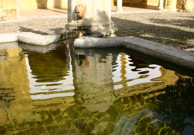 Cordoba Mezquita IMG_8114.jpg