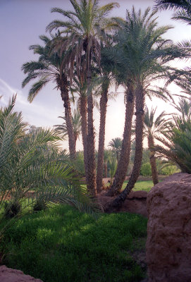g12/73/812973/3/169834791.QliGPEGR.jpg