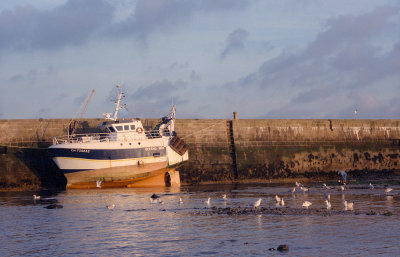 g12/73/812973/3/169858766.LC2ivs6W.jpg