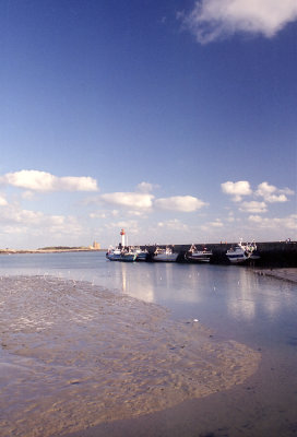 g12/73/812973/3/169866669.iSrgtQXt.jpg