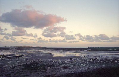 Saint Vaast la Hougue 1998 Argentique