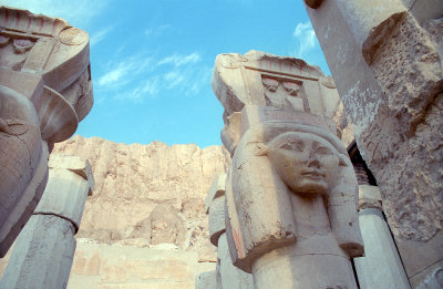g12/73/812973/3/169908351.LtU5zotd.jpg