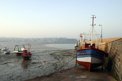 IMG_6817.jpg