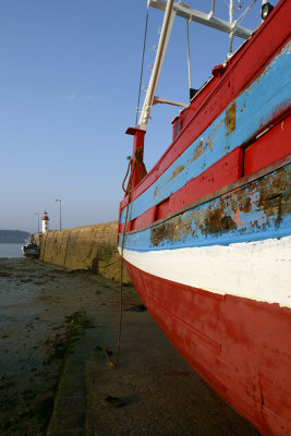 IMG_6824.jpg
