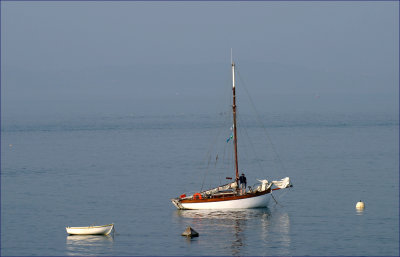 IMG_6882.jpg