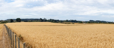 052A8514-Pano.jpg