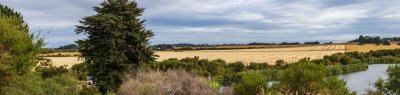 052A8784-Pano.jpg