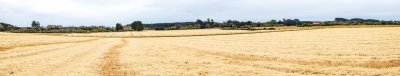 052A8886-Pano.jpg