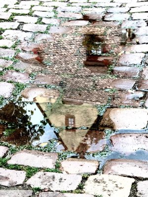 reflection-Alsace-France