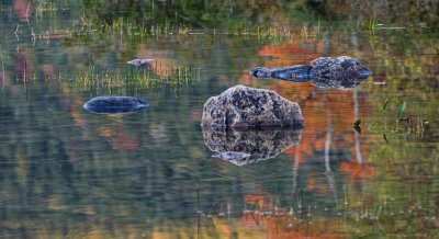 pond colors-Acadia National Park, ME