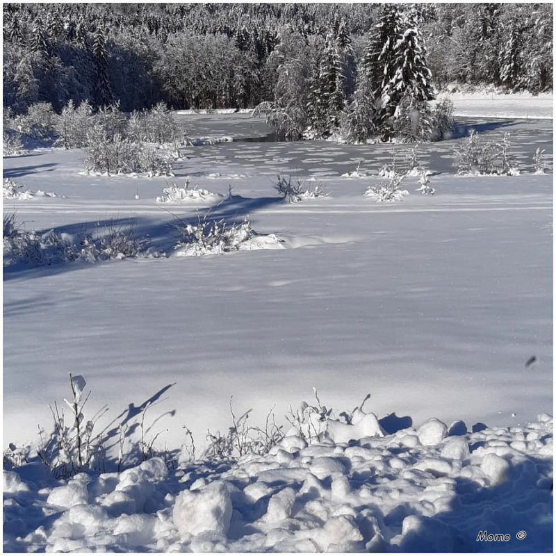 Lhiver