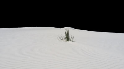 The Minimalism of White Sands National Monument